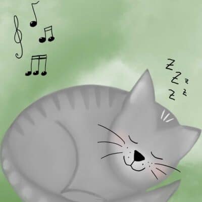 Kater Leo und das Musikzimmer