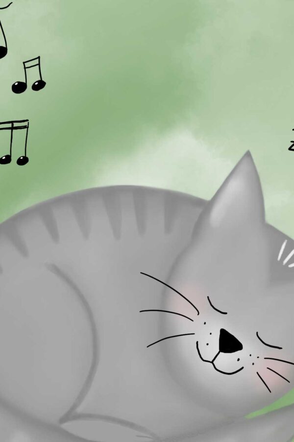 Kater Leo und das Musikzimmer