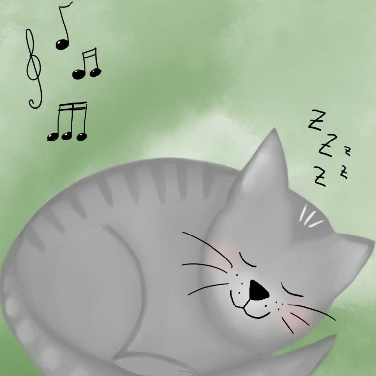 Kater Leo und das Musikzimmer