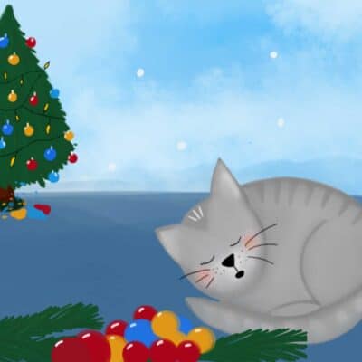Kater Leo feiert Weihnachten
