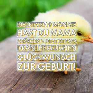 Geburt 4