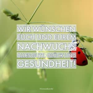 Geburt 6