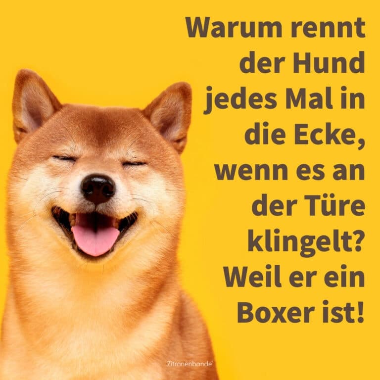 Kinderwitze: über 100 lustige Witze für Kinder