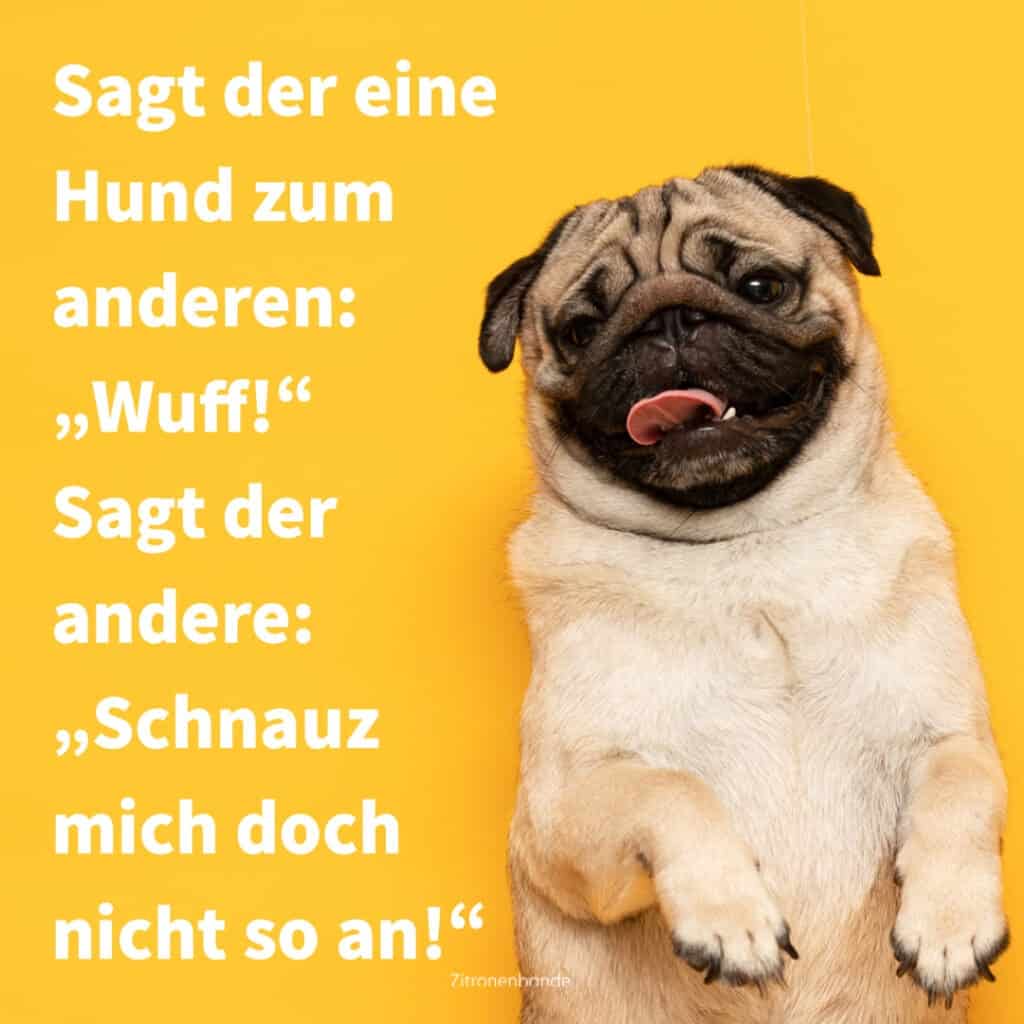 Kinderwitze Die Allerbesten Witze F r Kinder