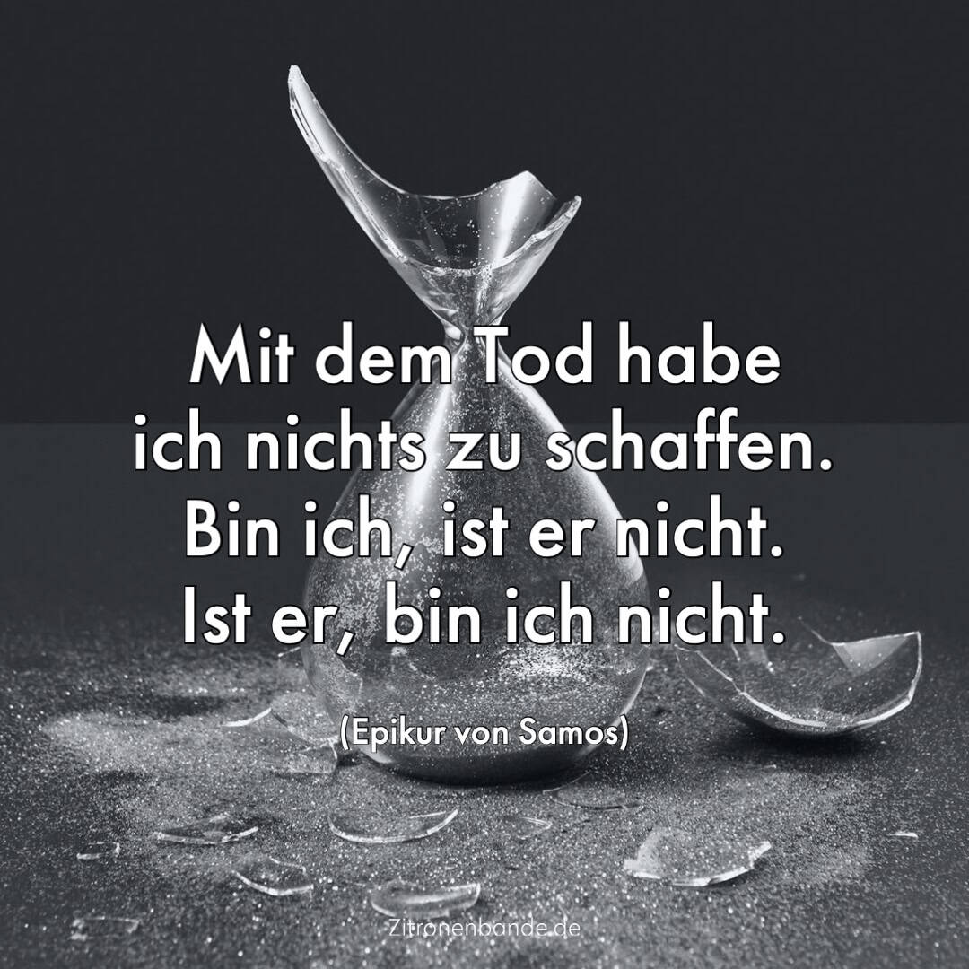 Stilvolle Sarkastische Sprche Ber Das Leben Fotos