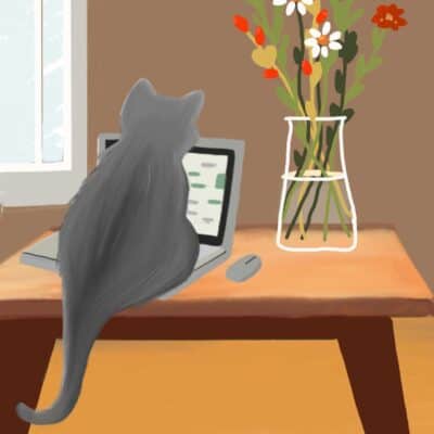 Kater Leo und der Laptop