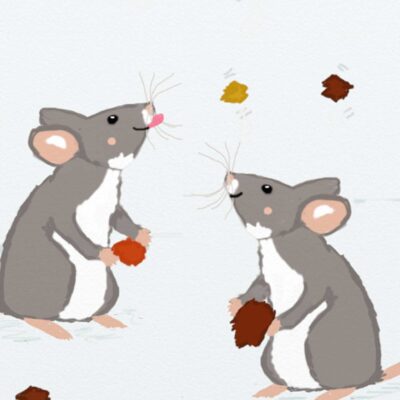 Die Mäuse Willi und Fritz