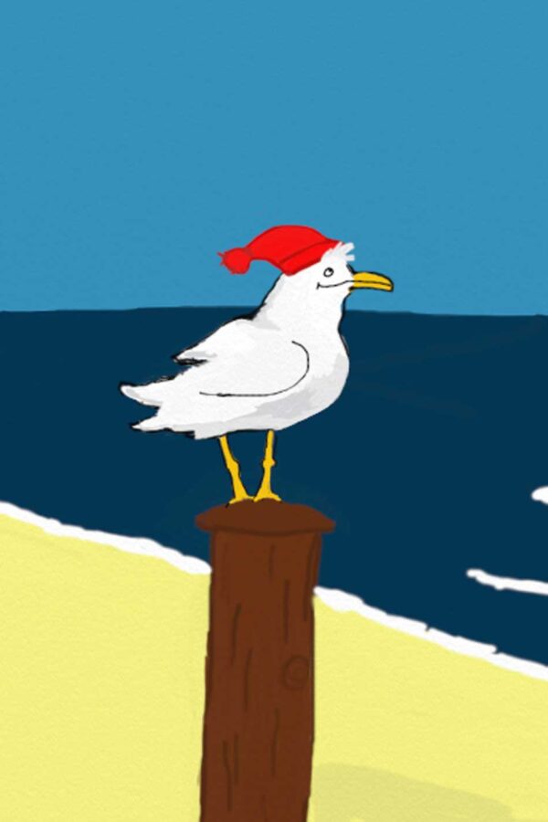 Die Möwe Erwin