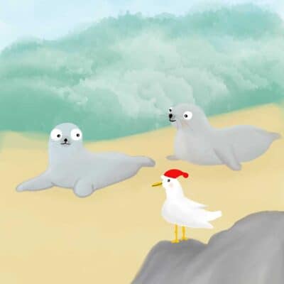 Möwe Erwin und die Seehunde