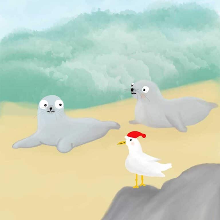 Möwe Erwin und die Seehunde