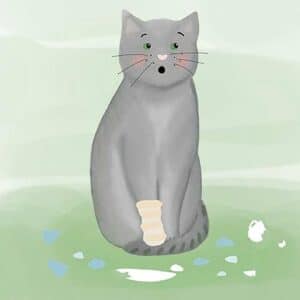 Gute-Nacht-Geschichte: Kater Leo muss zum Arzt