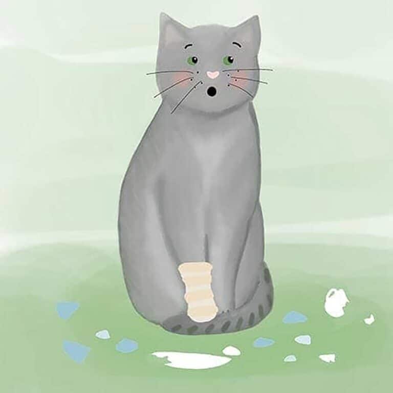 Gute-Nacht-Geschichte: Kater Leo muss zum Arzt