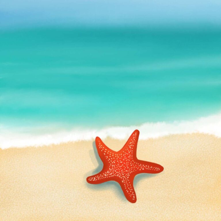 Gute-Nacht-Geschichten: Der kleine Seestern Carlos