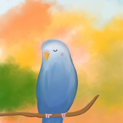 Gute-Nacht-Geschichte: Wo ist Charlie