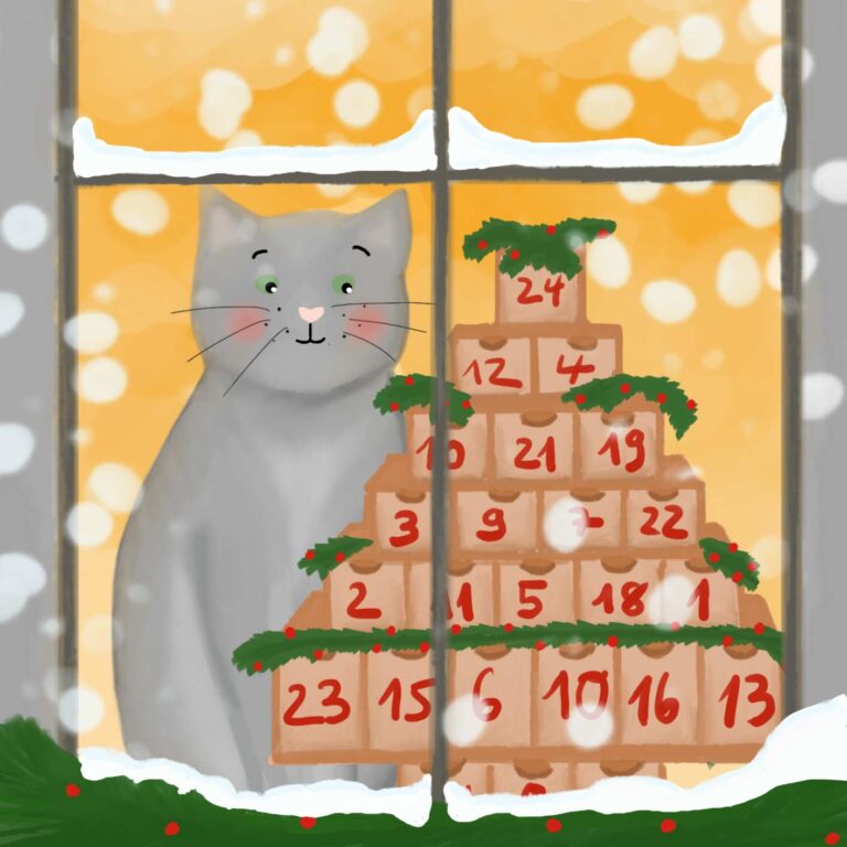 Kater Leo und der Adventskalender