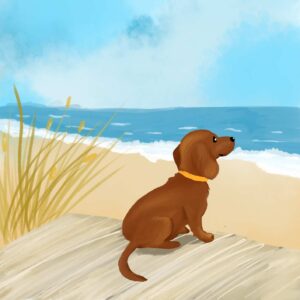 Kommissar Walter und der Tag am Meer