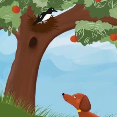 Kommissar Walter und die diebische Elster