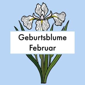 Geburtsblume Februar Titelbild