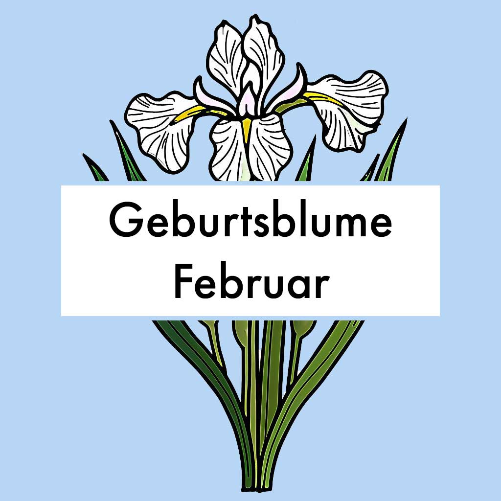 Geburtsblume Februar Titelbild