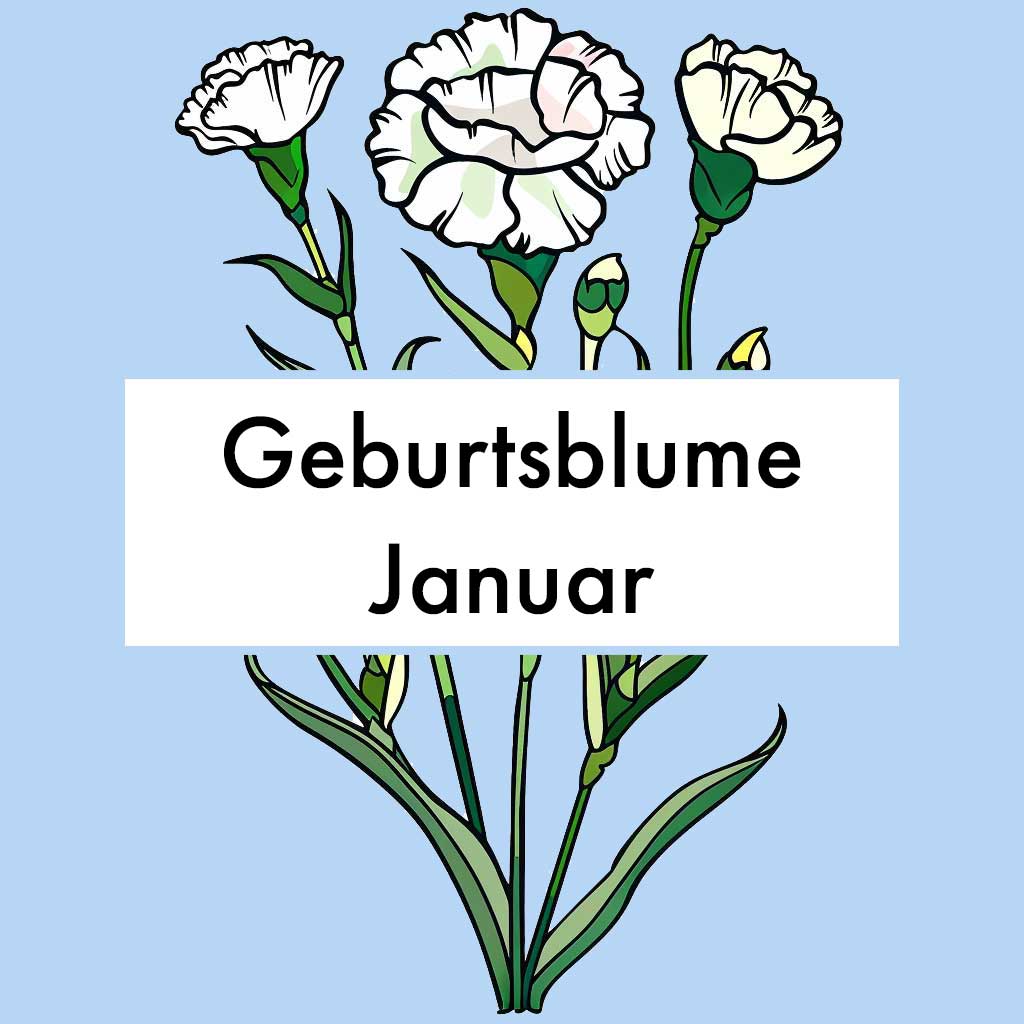 Geburtsblume Januar