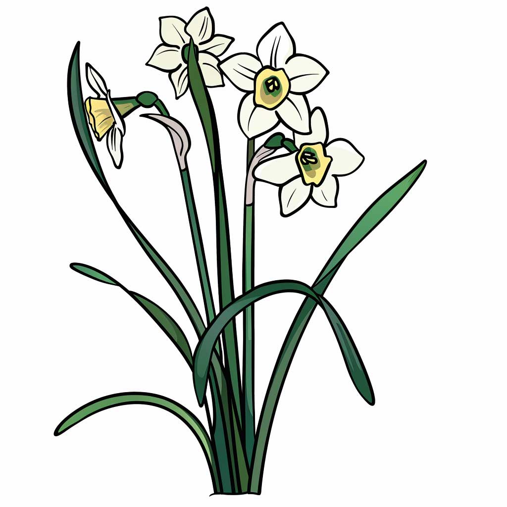 Geburtsblume März Narzisse