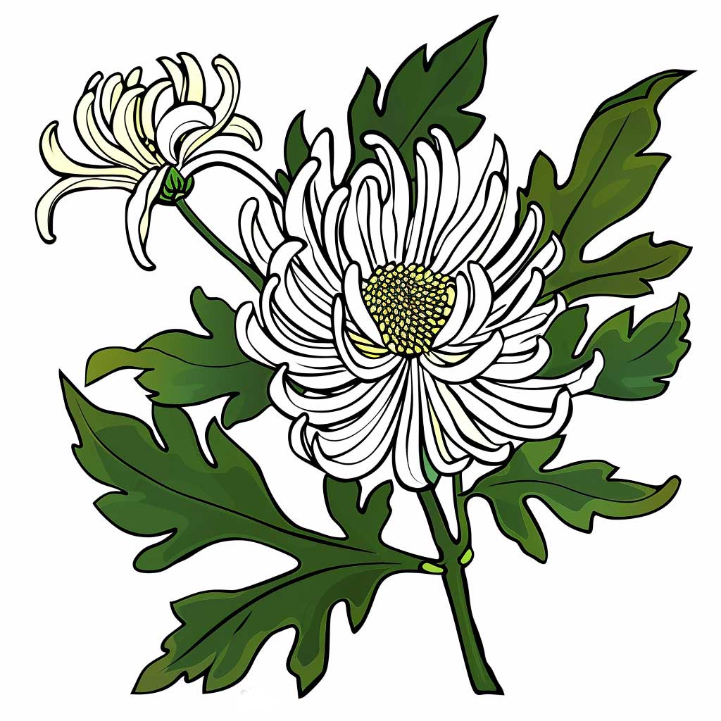 Geburtsblume November Crysantheme