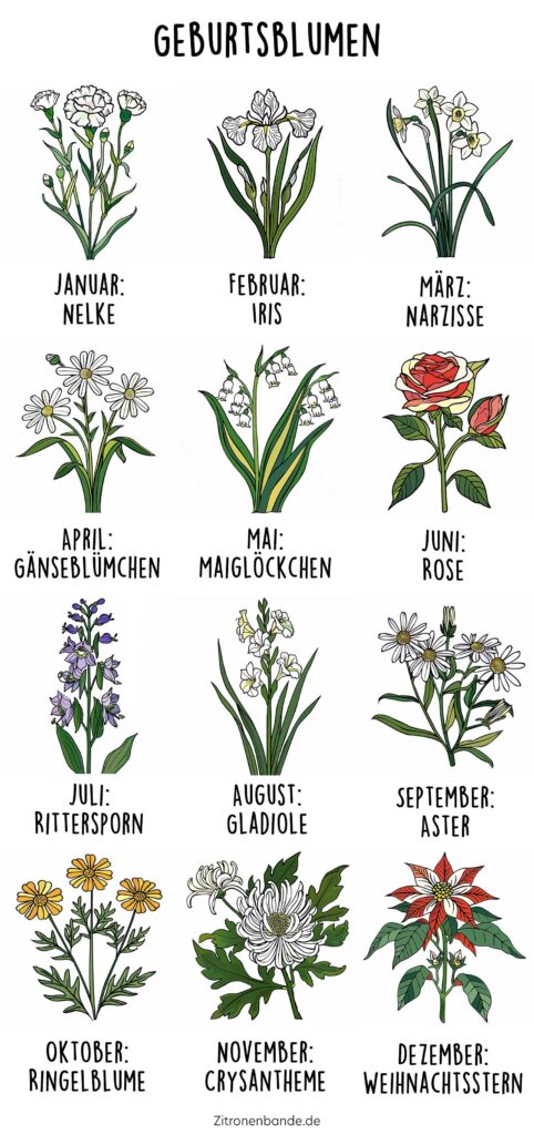 Geburtsblumen nach Monaten