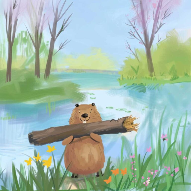 Biber Bella und der Fluss