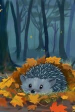 Der kleine Igel im Abendwald
