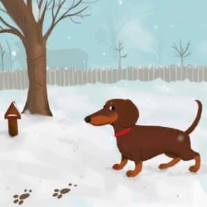 Kommissar Walter und die Spuren im Schnee