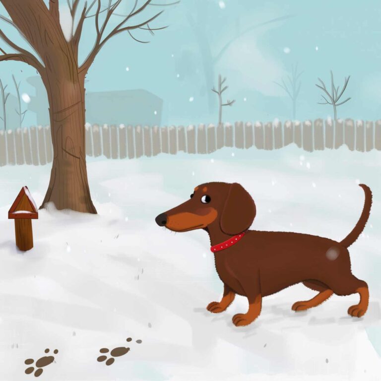 Kommissar Walter und die Spuren im Schnee